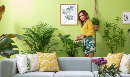 Grünes Zuhause: Zimmerpflanzen richtig pflegen