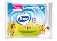 Zewa Kids