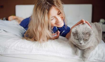 Simptomi alergije na mačke: kako da prepoznaš alergiju na mačke