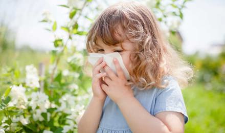 Маленькая девочка сморкается, чтобы облегчить аллергию на пыльцу