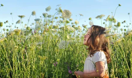 Молодая девушка, которой могут понадобиться средства от сенной лихорадки, стоит в солнечный день в поле с большим количеством высоких, диких цветов