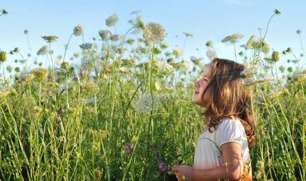 Egy fiatal lány, aki lehet, szénanátha jogorvoslatok ő állt, egy napsütéses napon, egy mező tele magas, vadvirágok