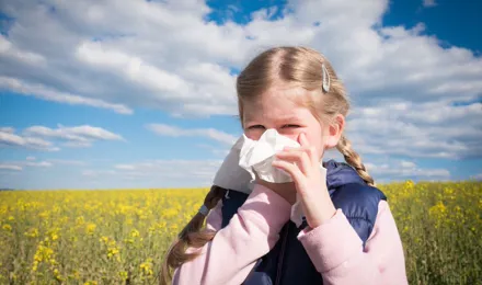 Советы: что делать, если у вас перекрестная аллергия