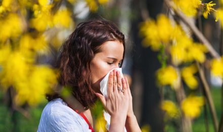Концентрация пыльцы в воздухе: какие места лучше избегать