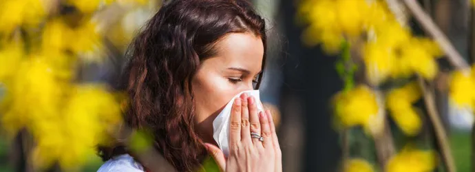 Концентрация пыльцы в воздухе: какие места лучше избегать