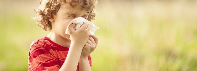 5 természetes segítség pollenallergia ellen