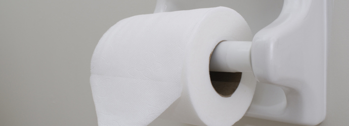 Basteln mit Toilettenpapier: Origami falten
