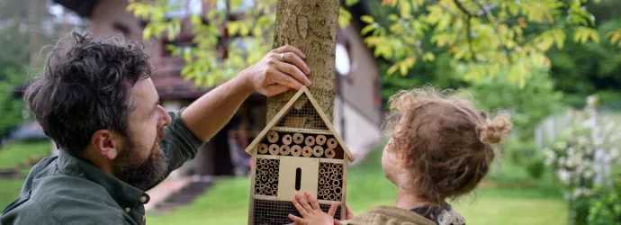 Anleitung zum Insektenhotel selber bauen
